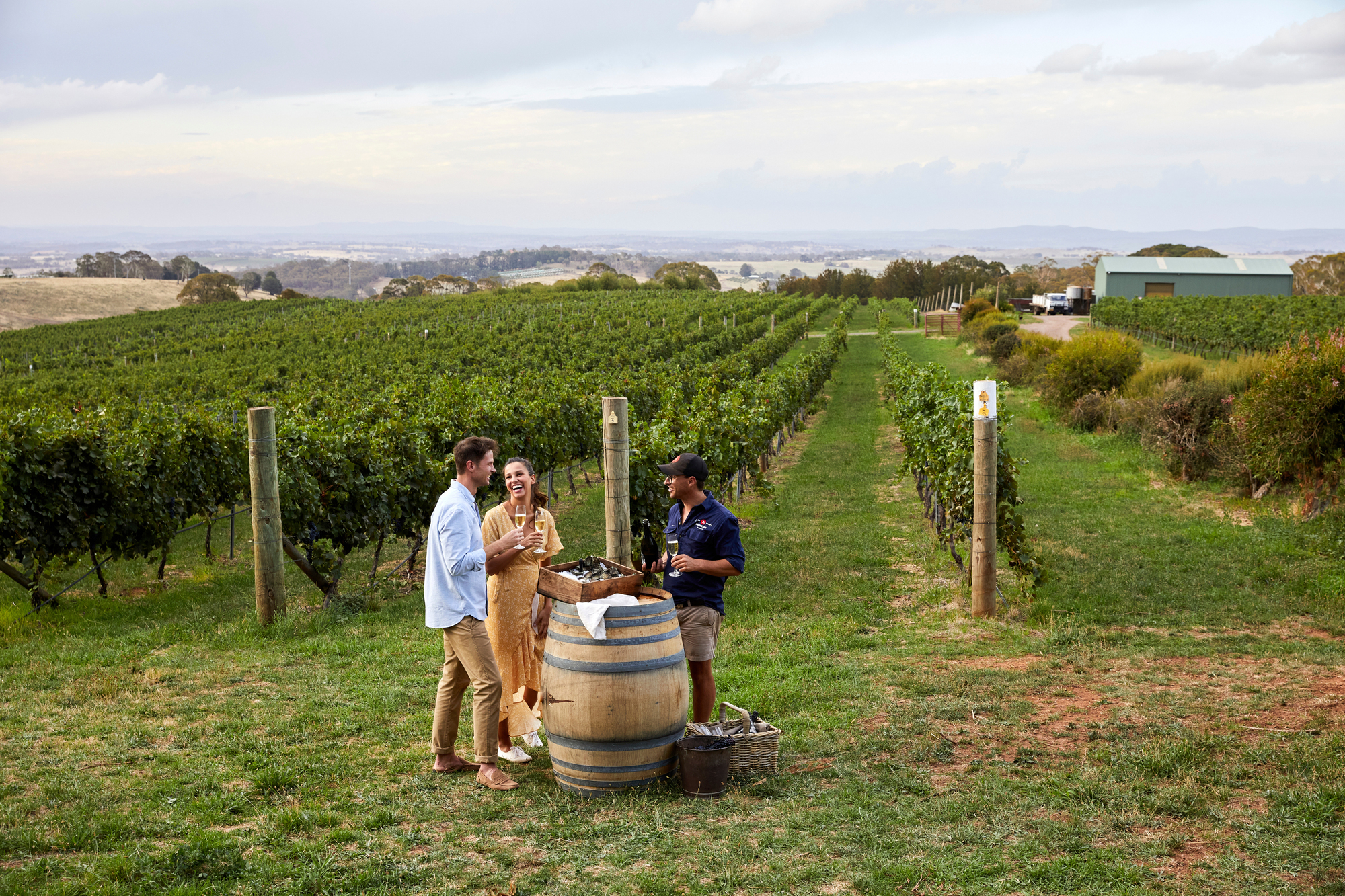 Printhie Wines, Orange